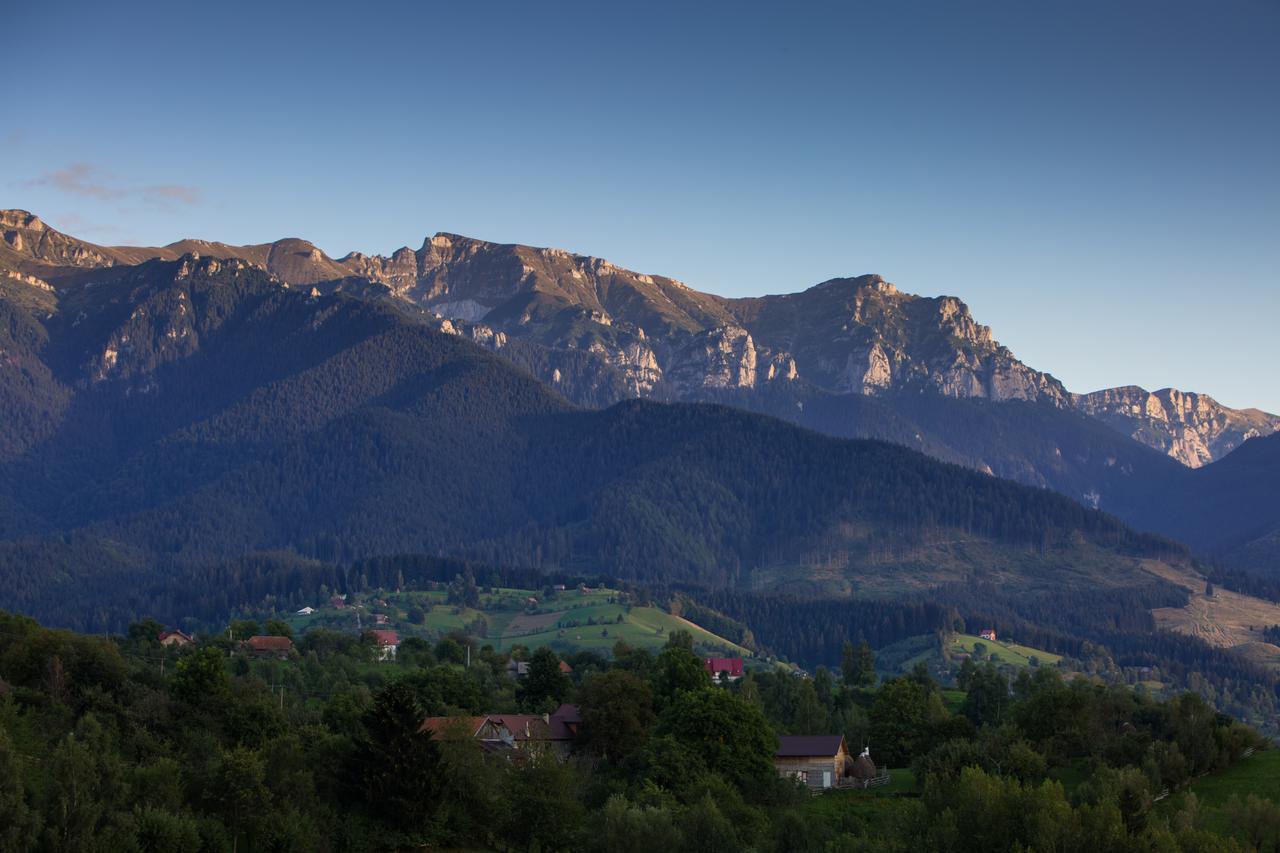 Bran Monte Crai Chalet Exteriör bild